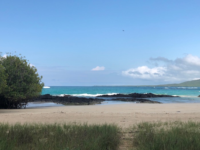 Isabela Island, view from Isabela Beach House, Galapagos
