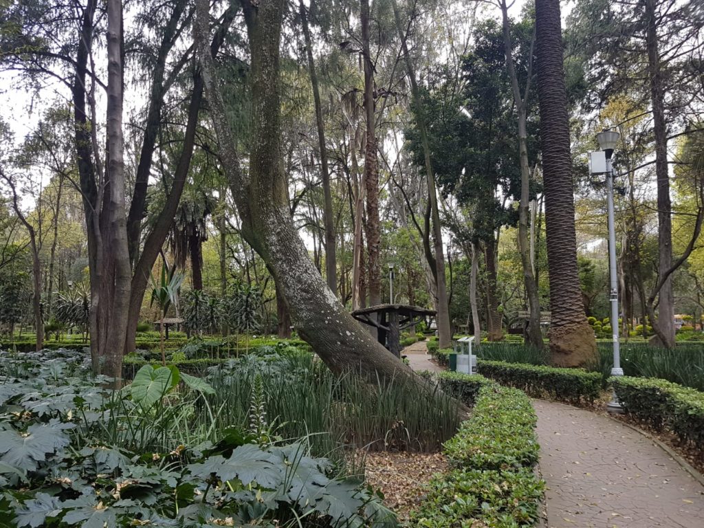 Strolling through a Mexico City Park